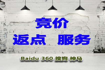 解析sem代运营公司经典案例：如何实现ROI最大化